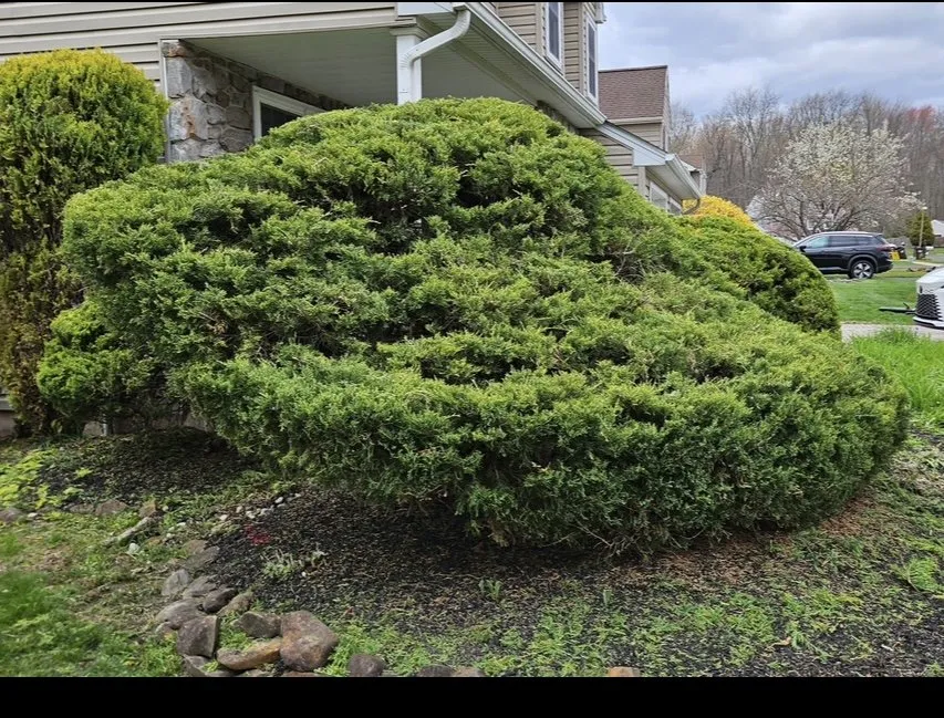 Custom garden landscaping in Freemansburg, PA by Sharkey's Lawn Maintenance