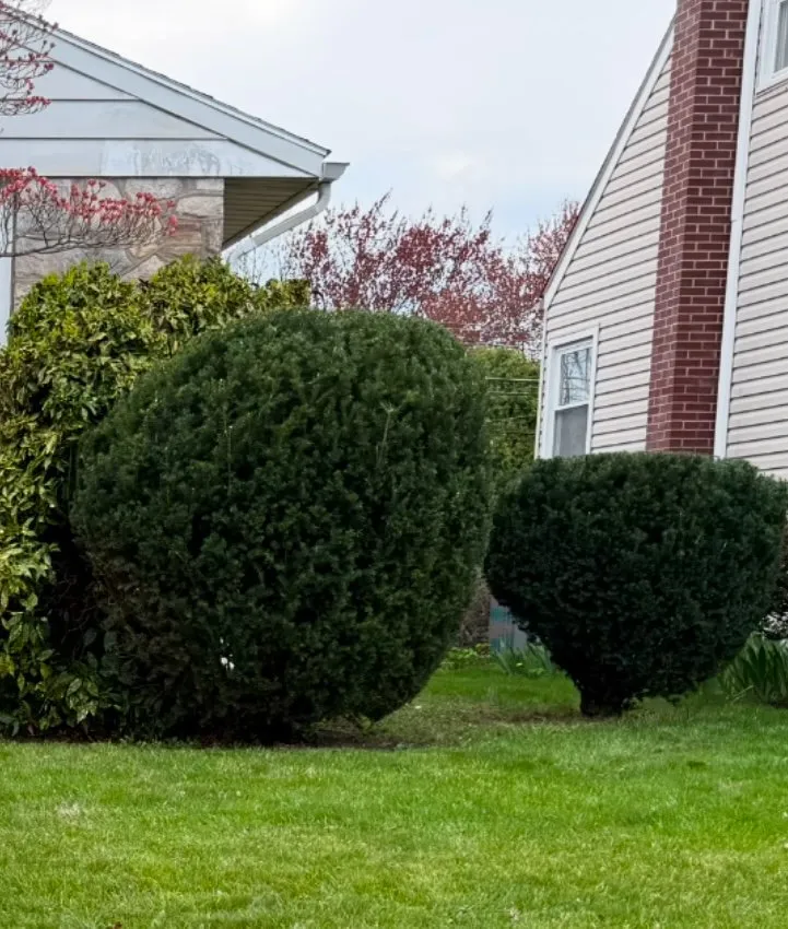 Expert garden landscaping for outdoor upgrades in Freemansburg, PA by Sharkey's Lawn Maintenance