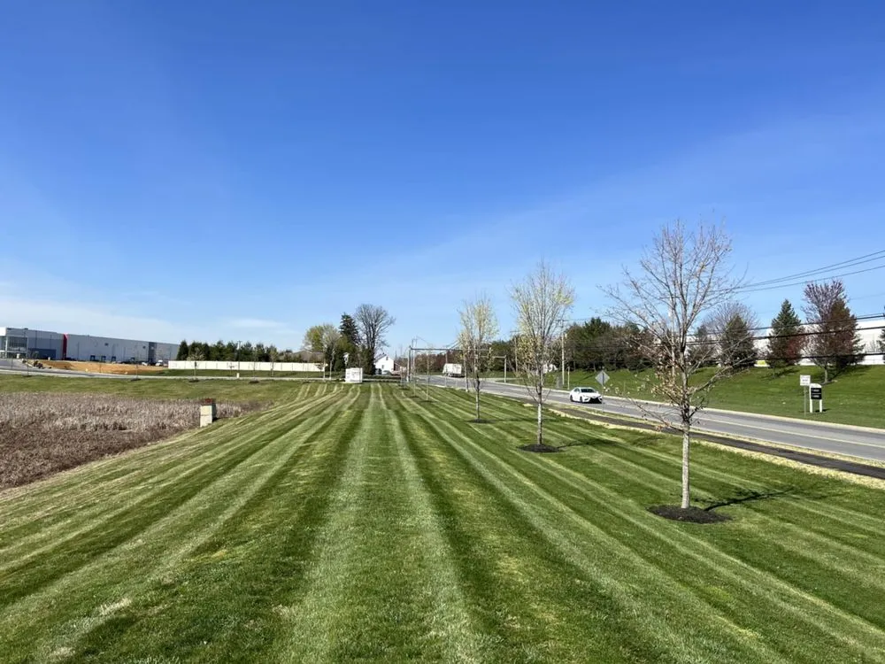 Trusted lawn mowing service experts serving Freemansburg, PA - Sharkey's Lawn Maintenance