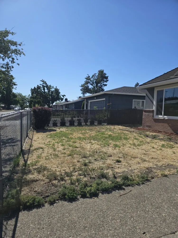 Custom landscaping services for year-round maintenance in Eugene, OR by Sharks Lawn Service