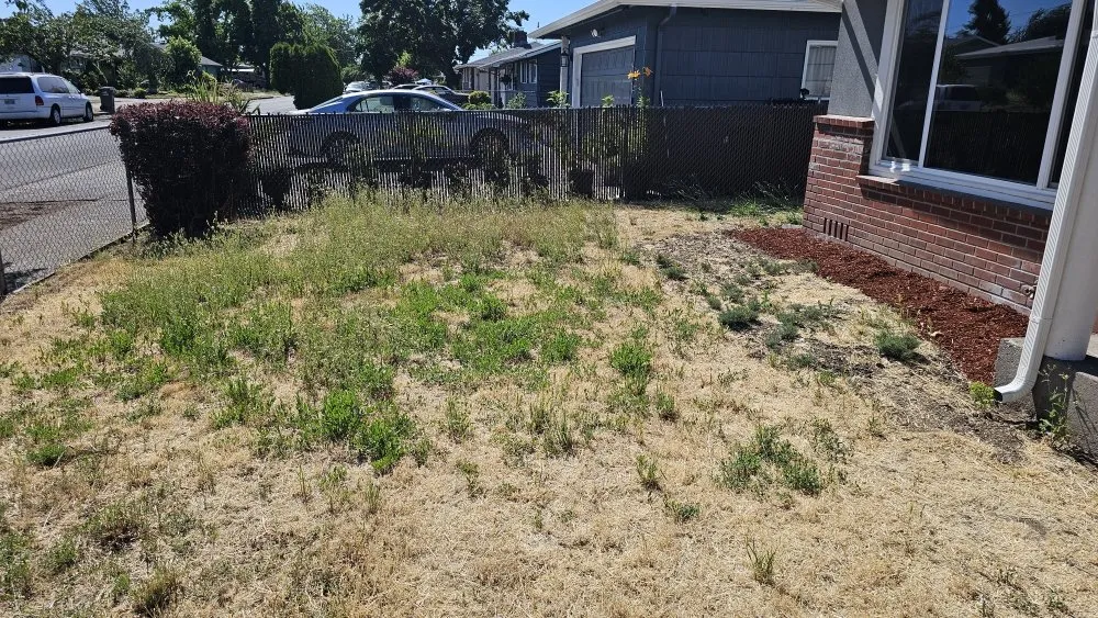 Professional landscaping services for beautiful yards across Eugene, OR - Sharks Lawn Service