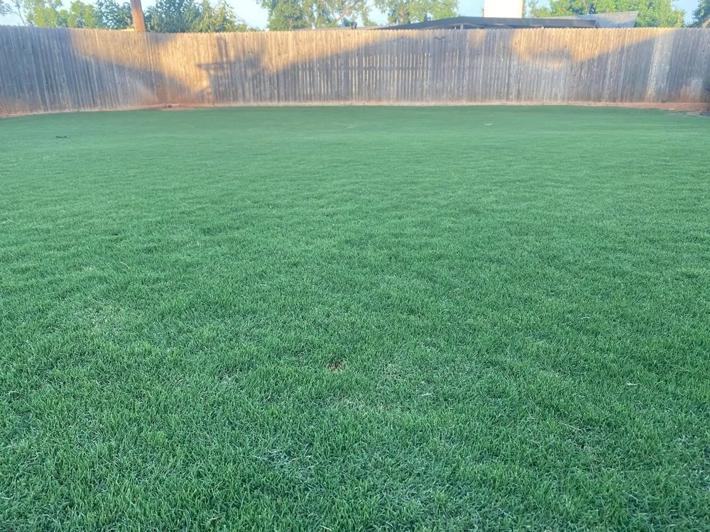 Top-rated lawn mowing service for beautiful yards in Oakland, TN by Sharks Lawn Services