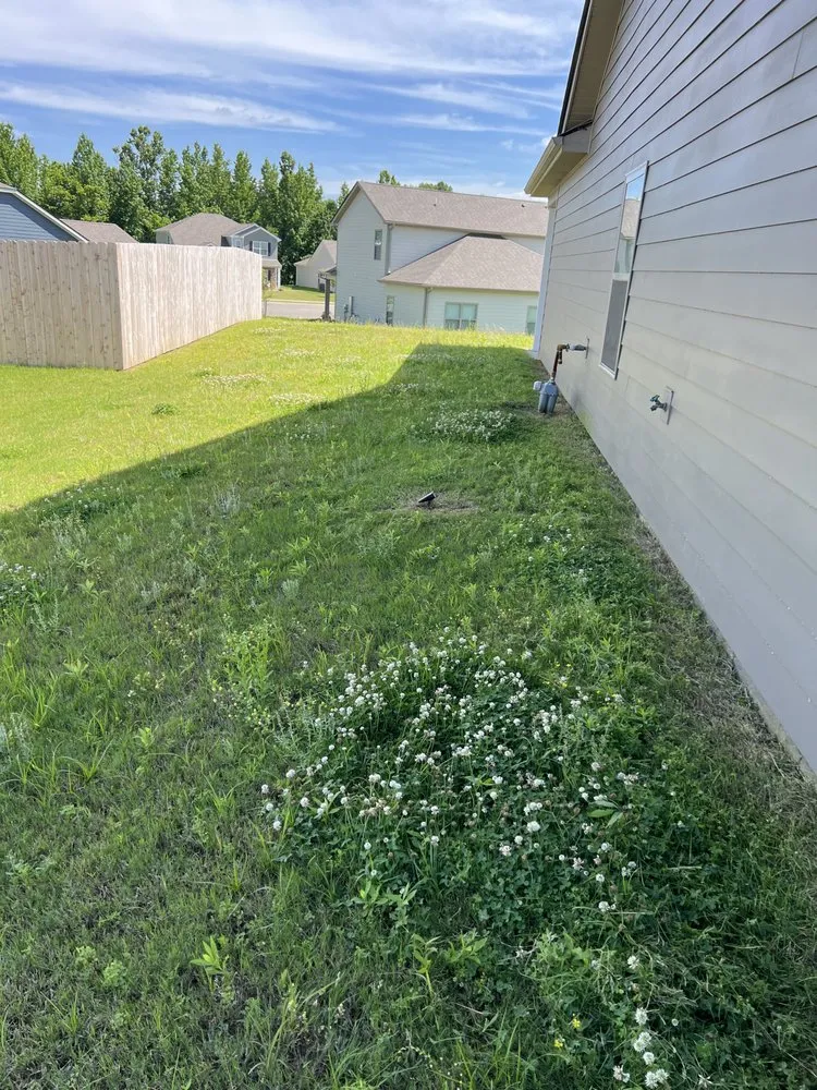 Professional landscape design in Oakland, TN - Sharks Lawn Services