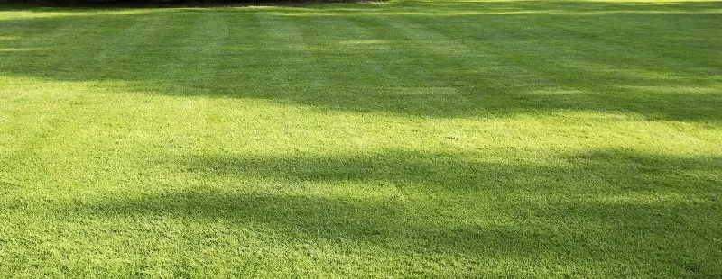 Trusted lawn care service in Oakland, TN - Sharks Lawn Services