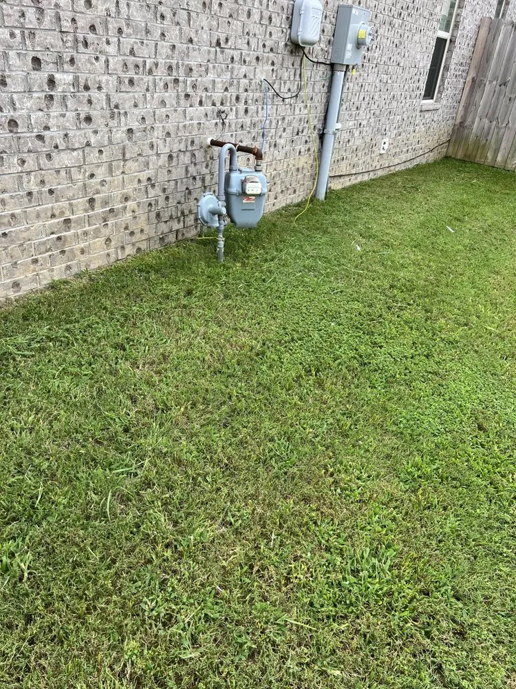 Top-rated yard cleanup service experts serving Oakland, TN - Sharks Lawn Services