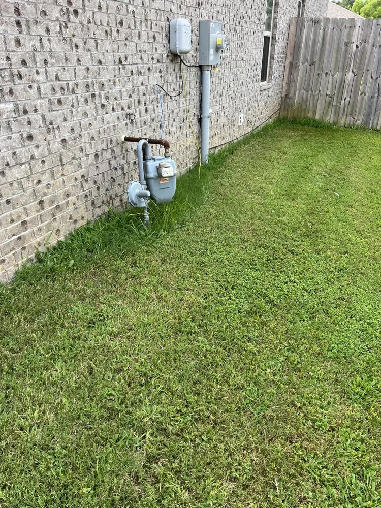 Professional lawn care service for year-round maintenance across Oakland, TN - Sharks Lawn Services