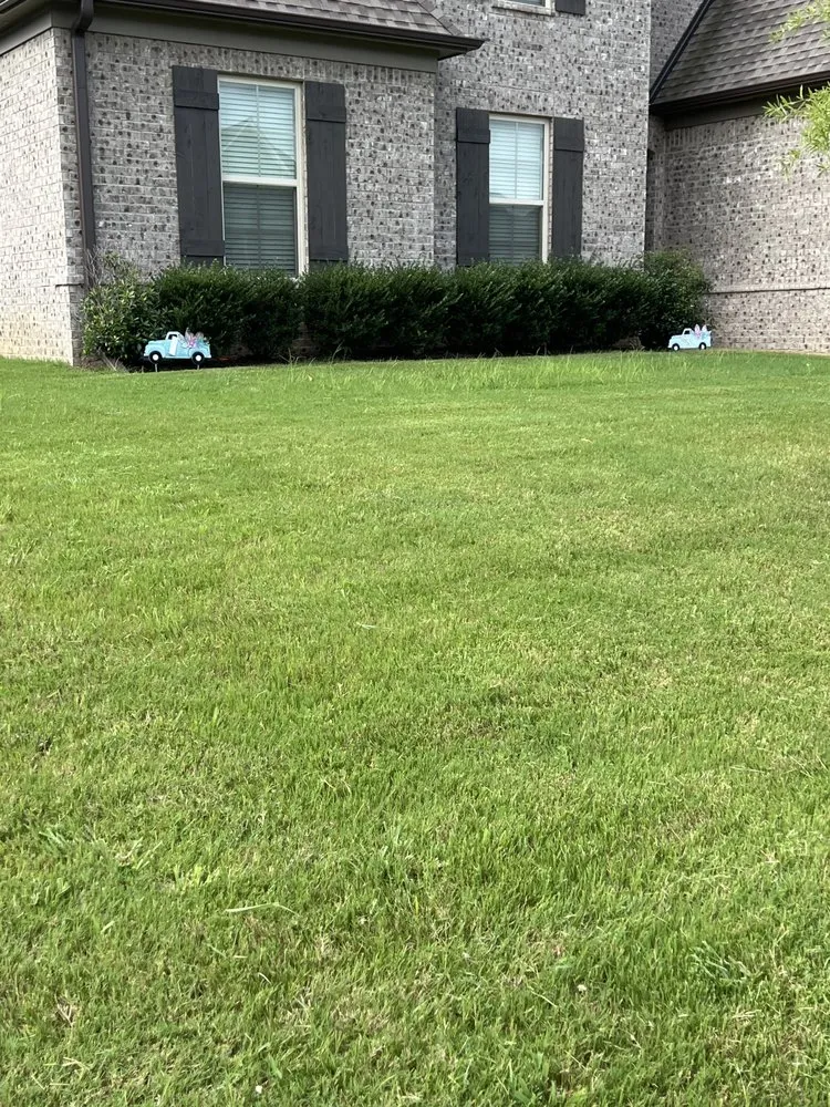 Custom landscape installation experts serving Oakland, TN - Sharks Lawn Services