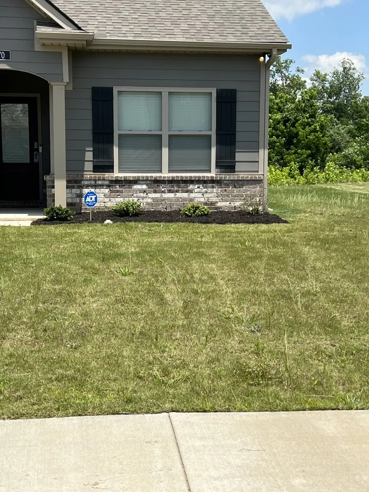 Top-rated lawn care service experts serving Oakland, TN - Sharks Lawn Services