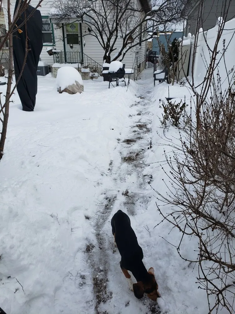 Trusted landscaping services in Milwaukee, WI - Sharktastik Cleaners