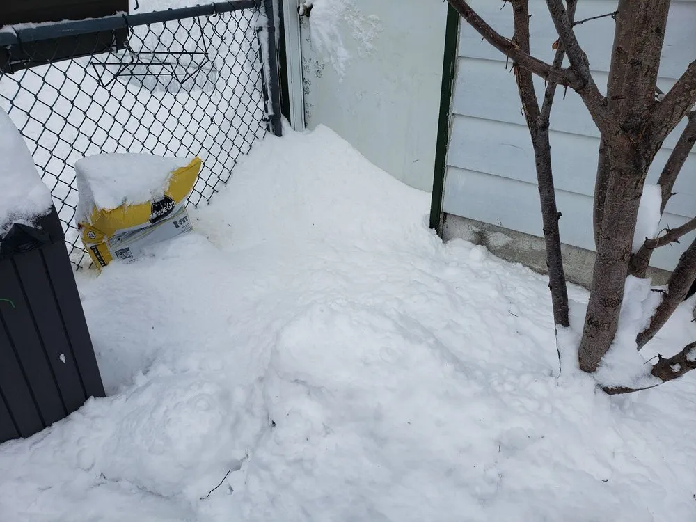 Top-rated lawn care service in Milwaukee, WI by Sharktastik Cleaners