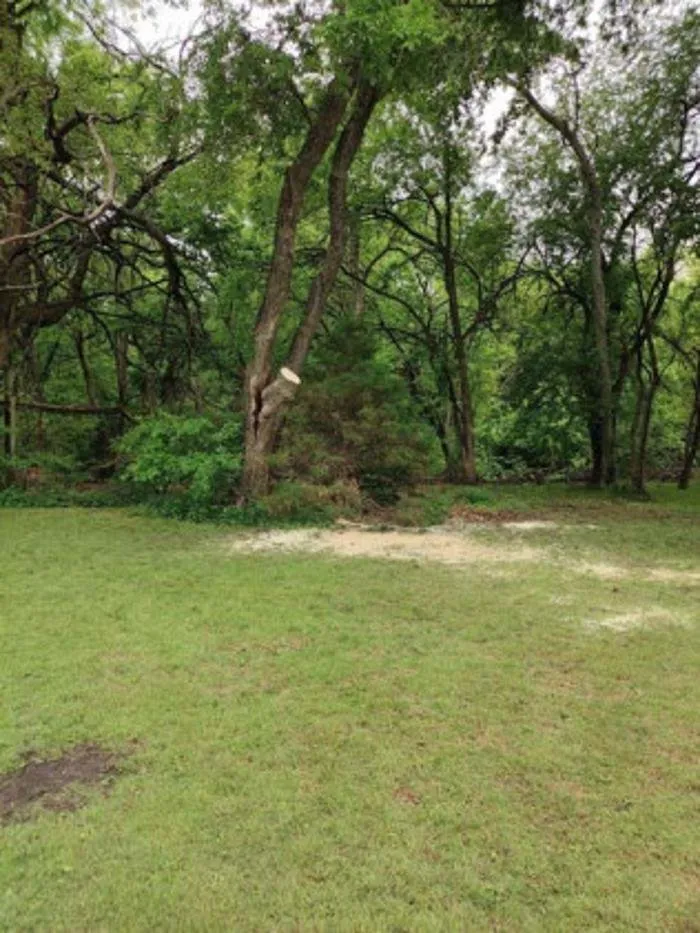 Local lawn mowing service for beautiful yards across Sherman, TX - Sharky Tree Service