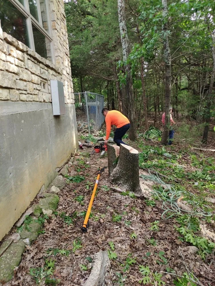 Top-rated lawn mowing service for outdoor upgrades across Sherman, TX - Sharky Tree Service