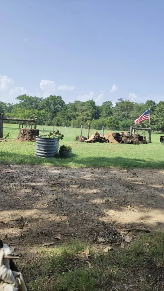 Custom outdoor landscaping in Sherman, TX - Sharky Tree Service