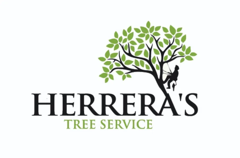 Reliable lawn care service for residential properties across Sherman, TX - Sharky Tree Service