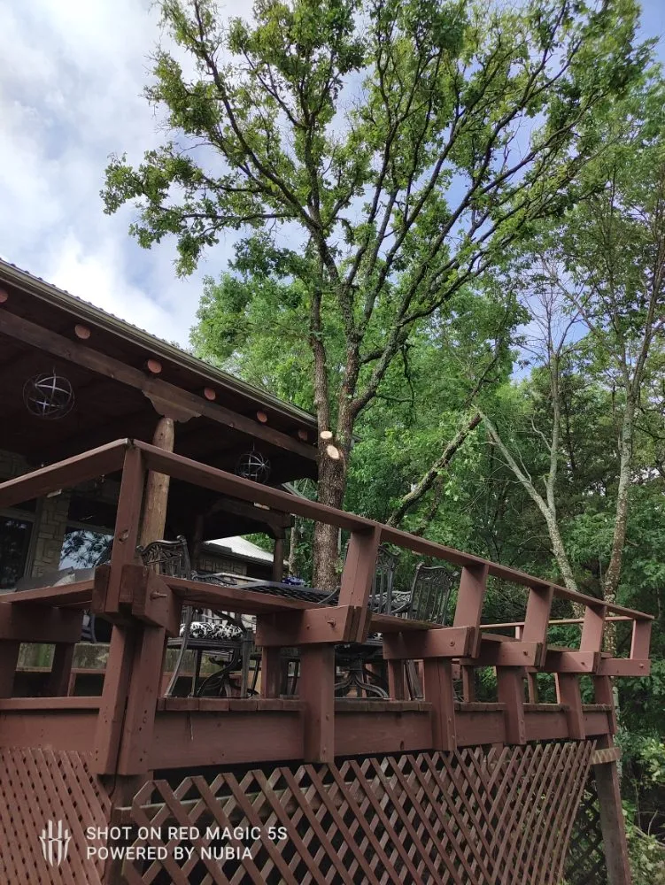 Professional landscape installation experts serving Sherman, TX - Sharky Tree Service