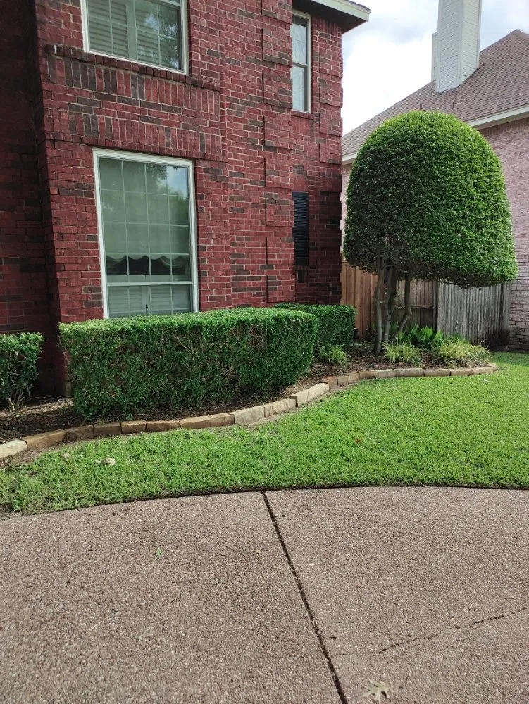 Expert garden landscaping in Sherman, TX - Sharky Tree Service