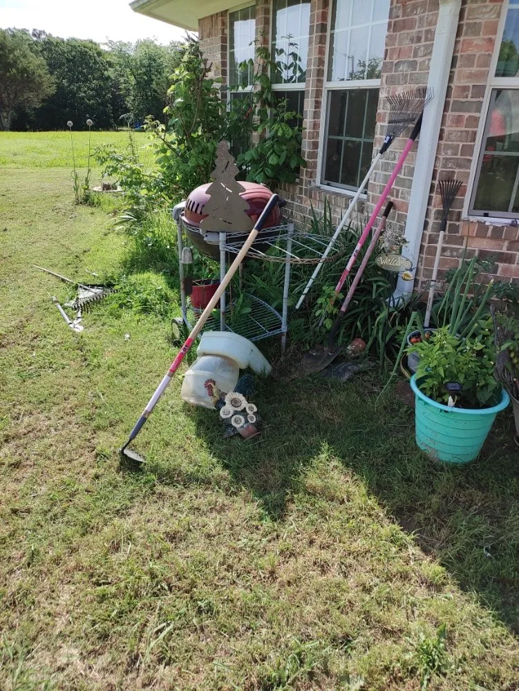Trusted yard maintenance experts serving Sherman, TX - Sharky Tree Service