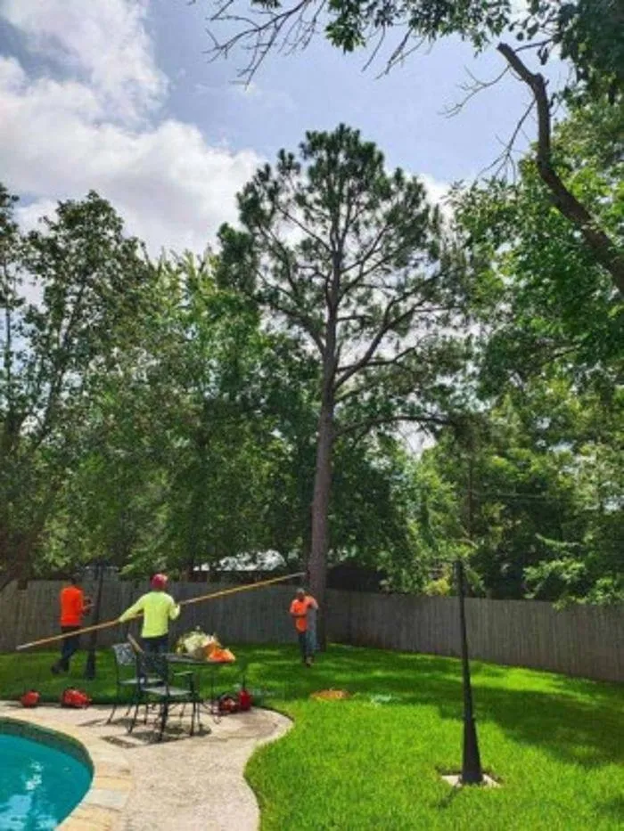 Professional landscape installation in Sherman, TX by Sharky Tree Service