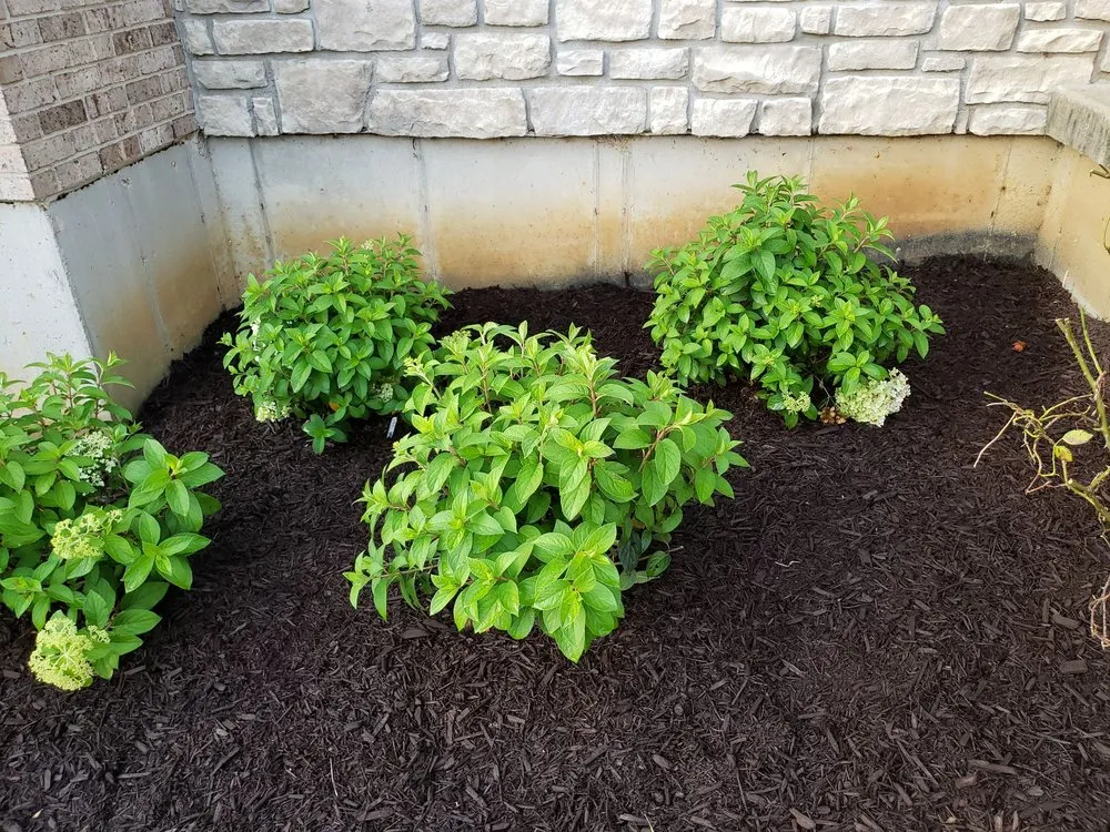Trusted residential landscaping in Maineville, OH - Sharon Nursery-Garden Store