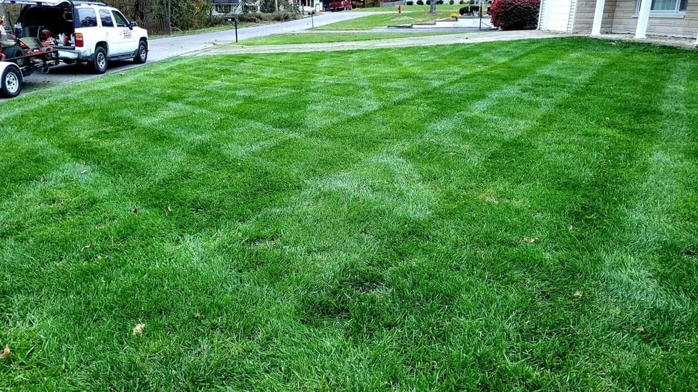 Trusted yard cleanup service for homes in Bedford, IN by Sharp Blade Lawn Care