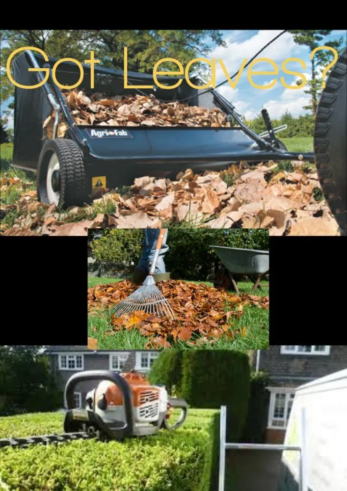 Top-rated yard cleanup service in Bedford, IN - Sharp Blade Lawn Care
