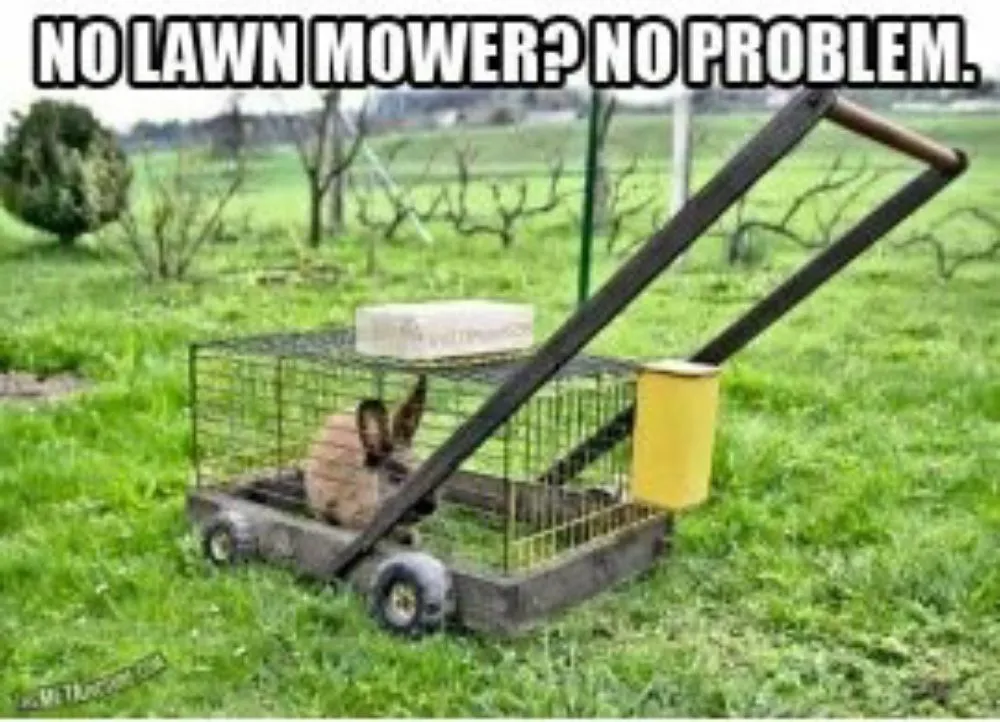 Custom residential landscaping for residential properties in Bedford, IN by Sharp Blade Lawn Care