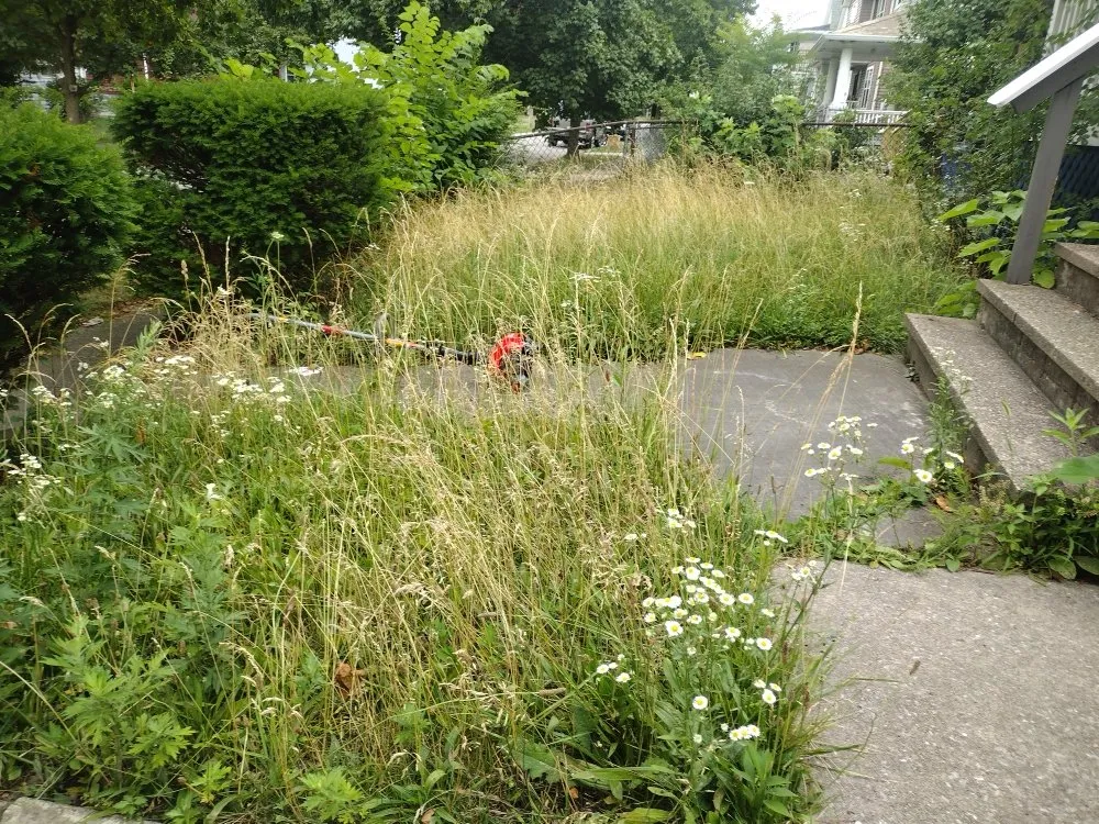 Top-rated landscape design experts serving Uniontown, OH - Sharp Blade Mowing