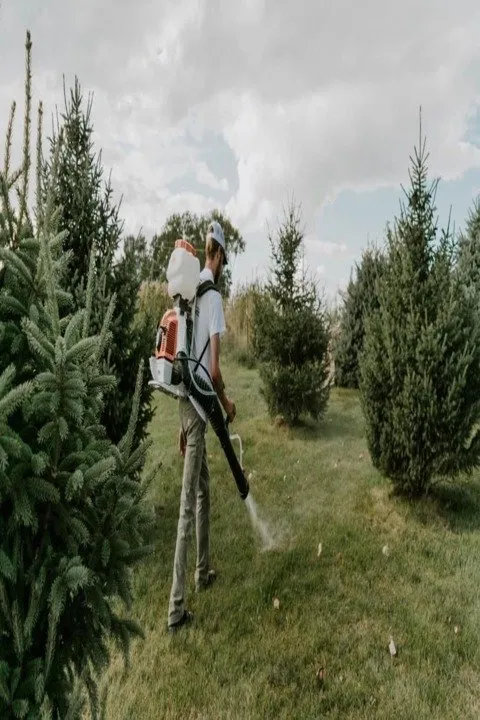 Top-rated lawn mowing service near you in Glenwood, IA by Sharp Blades Lawn Care