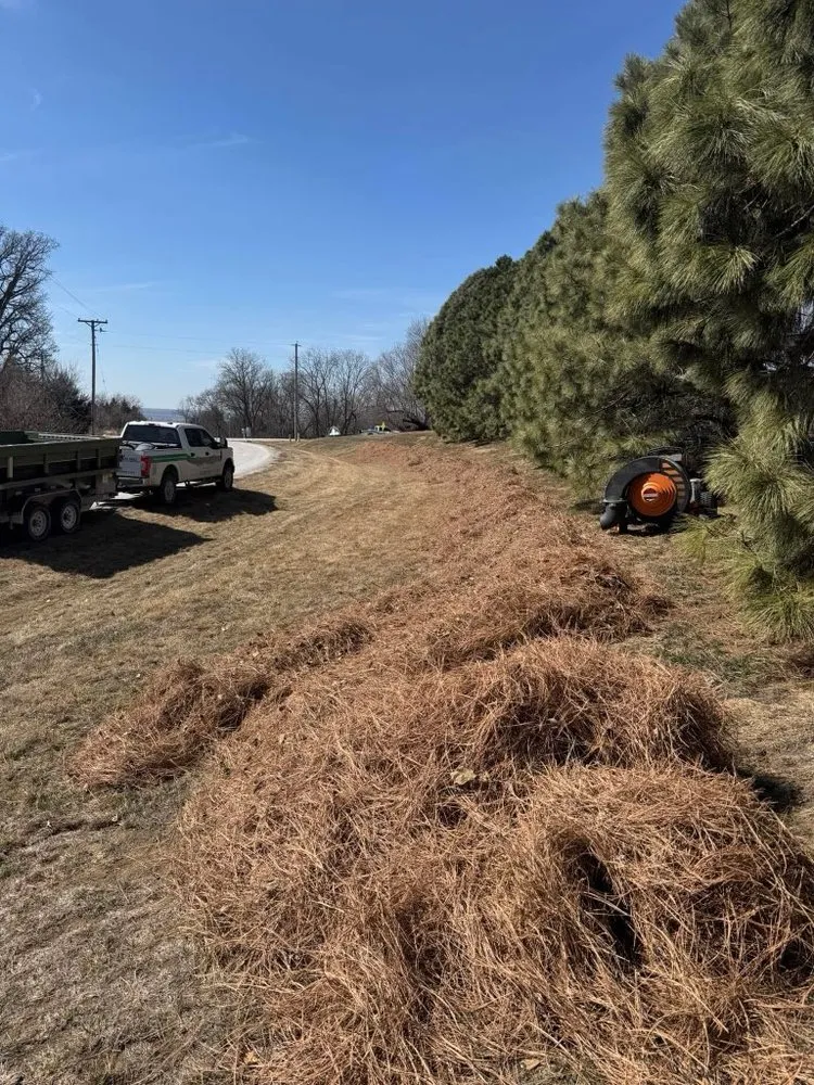 Reliable landscaping services for outdoor upgrades in Glenwood, IA by Sharp Blades Lawn Care