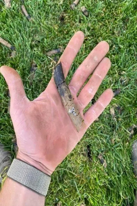 Expert landscape installation in Glenwood, IA by Sharp Blades Lawn Care