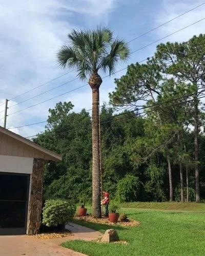 Reliable residential landscaping for year-round maintenance in Inverness, FL by Sharp Cut Lawn