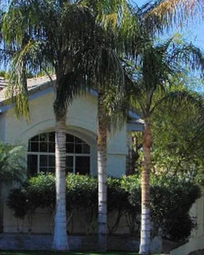 Expert landscape installation with custom design in Inverness, FL by Sharp Cut Lawn