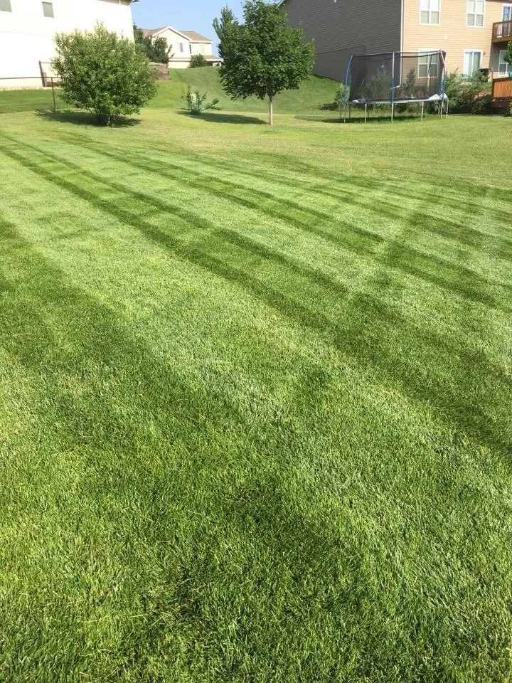 Trusted lawn mowing service for homes across Omaha, NE - Sharp Cut Lawns