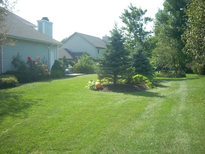Reliable yard cleanup service for residential properties in Rockton, IL by Sharp Cuts Lawn & Landscaping