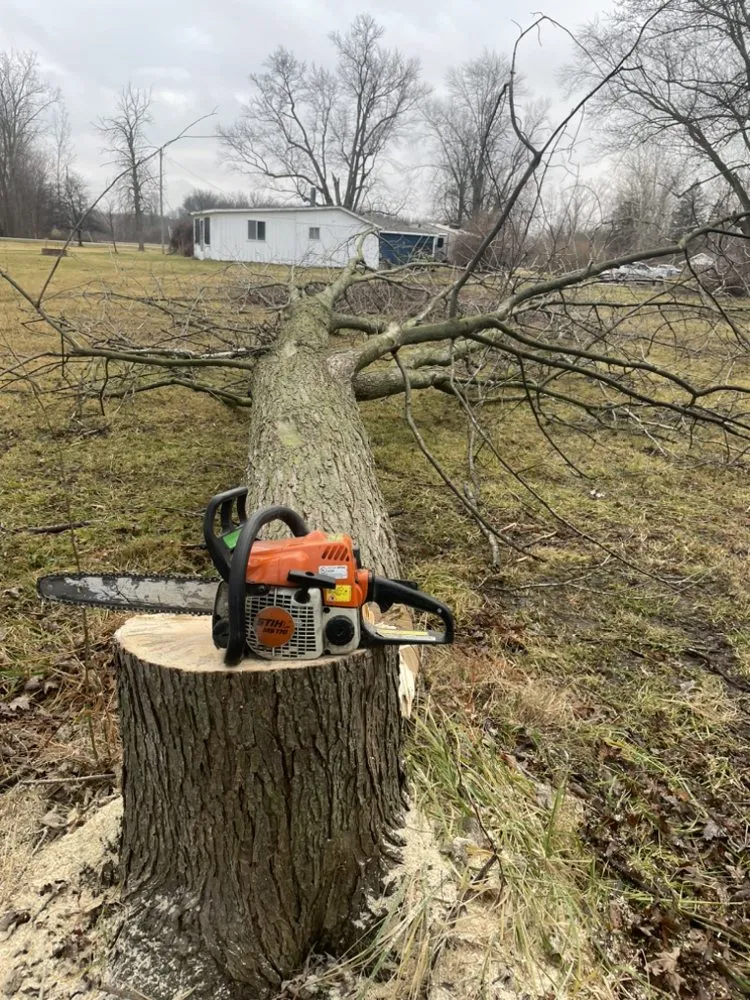 Affordable landscape installation for outdoor upgrades across Montrose, MI - Sharp Cuts Lawn & Snow