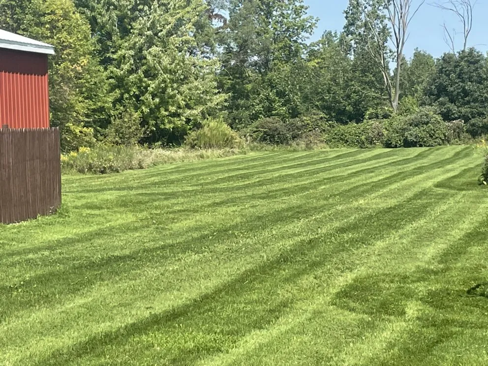 Top-rated yard maintenance in Montrose, MI - Sharp Cuts Lawn & Snow