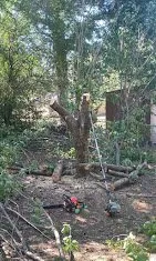 Trusted outdoor landscaping experts serving Decatur, AL - Sharp Cuts Lawn Care