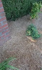 Affordable yard cleanup service in Decatur, AL - Sharp Cuts Lawn Care