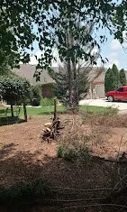 Expert landscaping services in Decatur, AL by Sharp Cuts Lawn Care