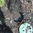 Trusted lawn care service near you in Decatur, AL by Sharp Cuts Lawn Care