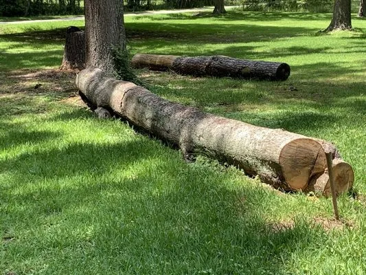 Sharp Cuts Lawn Care Logo