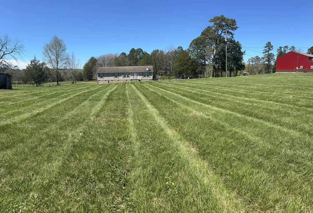 Affordable lawn mowing service for homes across Mascot, TN - Sharp Cuts Lawn Care