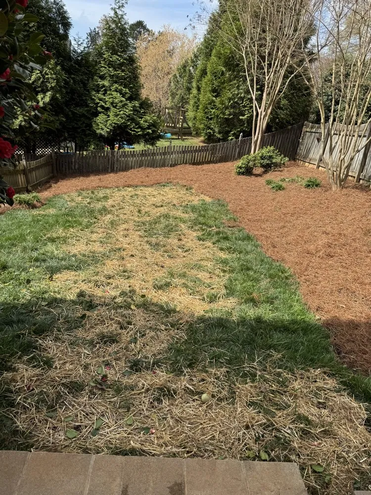 Local landscaping services for beautiful yards across Lewisville, NC - Sharp Edge Enterprises