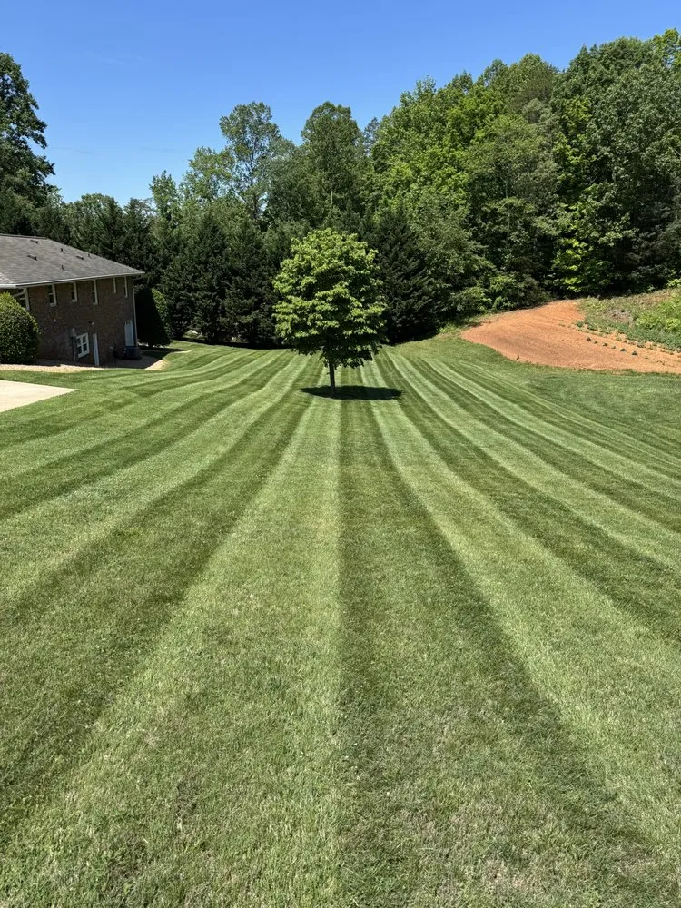 Custom landscaping services with custom design across Lewisville, NC - Sharp Edge Enterprises