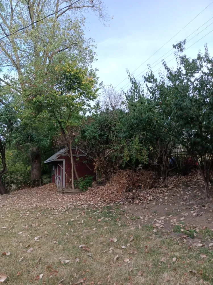 Local garden landscaping in Dayton, OH - Sharp Edge Landscaping And Lawn care