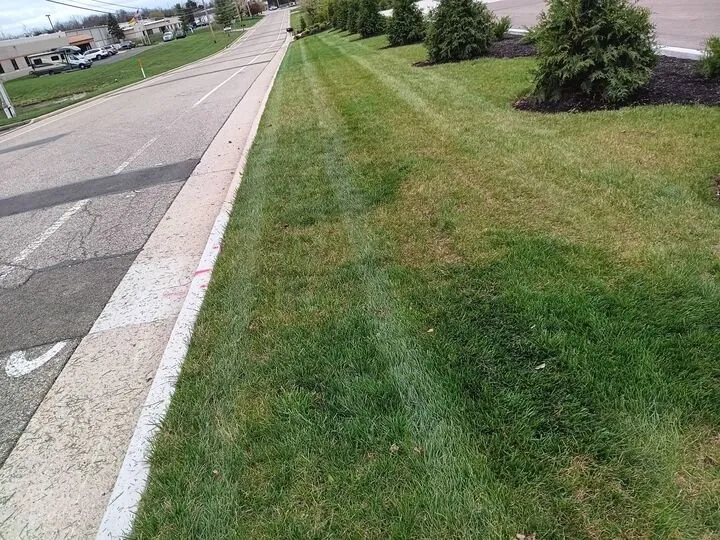 Custom outdoor landscaping for homes in Dayton, OH by Sharp Edge Landscaping And Lawn care