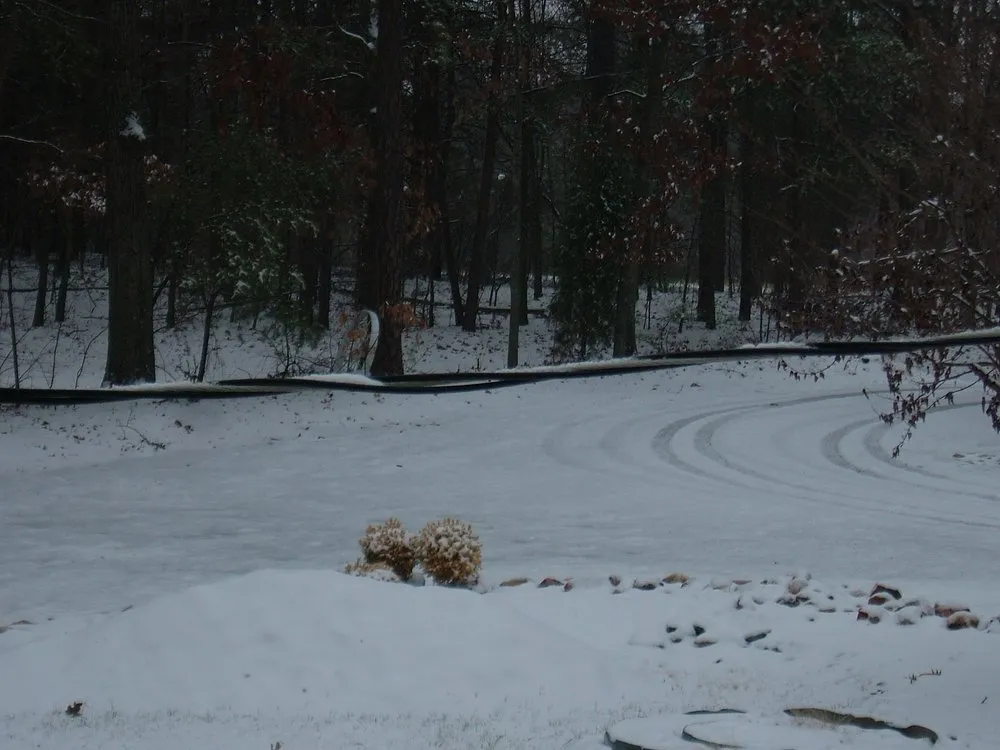 Local landscaping services in Tobaccoville, NC by Sharp Edge Lawn Care & Management