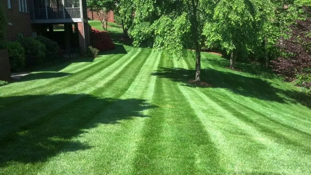 Reliable lawn mowing service for homes in Tobaccoville, NC by Sharp Edge Lawn Care & Management