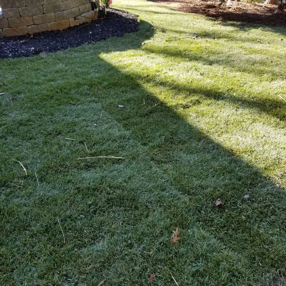 Trusted residential landscaping in Tobaccoville, NC by Sharp Edge Lawn Care & Management