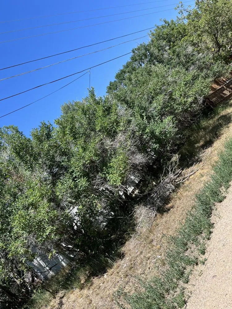 Professional landscape design experts serving Craig, CO - Sharp Edge Lawn Care